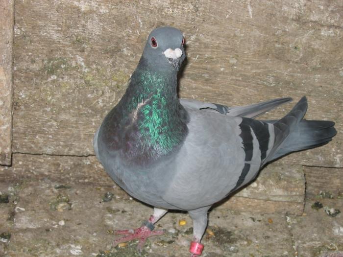 104_0451 - Acum muuuult timp