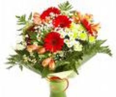 images_1
