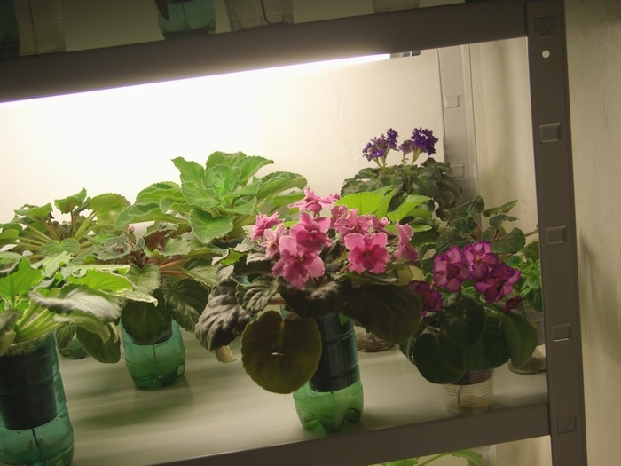 SG105554 - 2013 - Rafturi-Grup