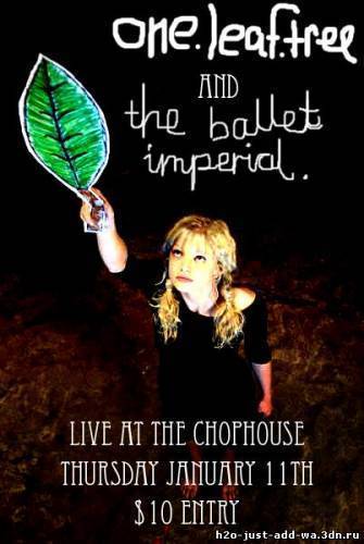 Cariba-Heine-and-friends-h2o-just-add-water-6811531-335-500