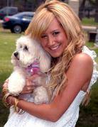 Ashley si catelusa ei Maui - Ashley Tisdale- Sharpay