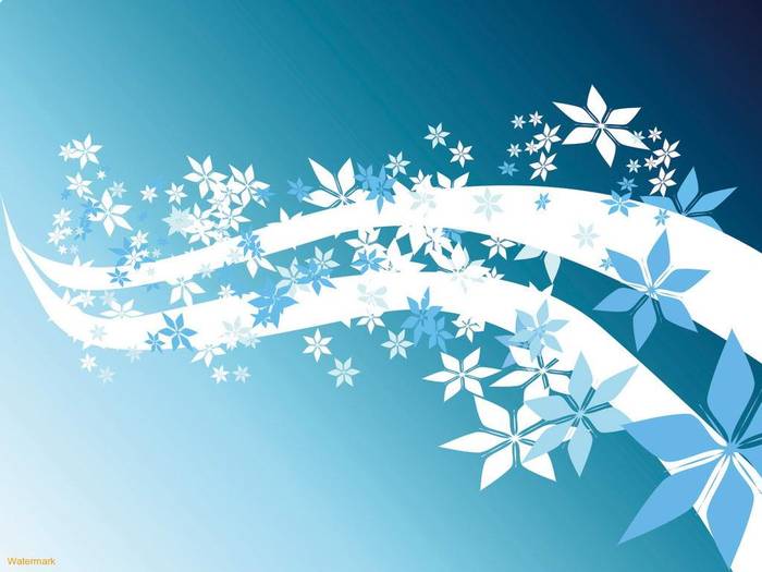 windows xp; windows xp
