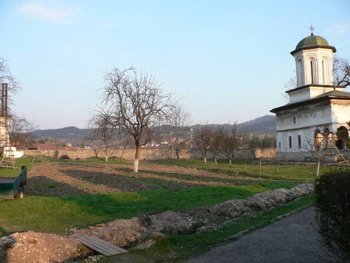 P1040479