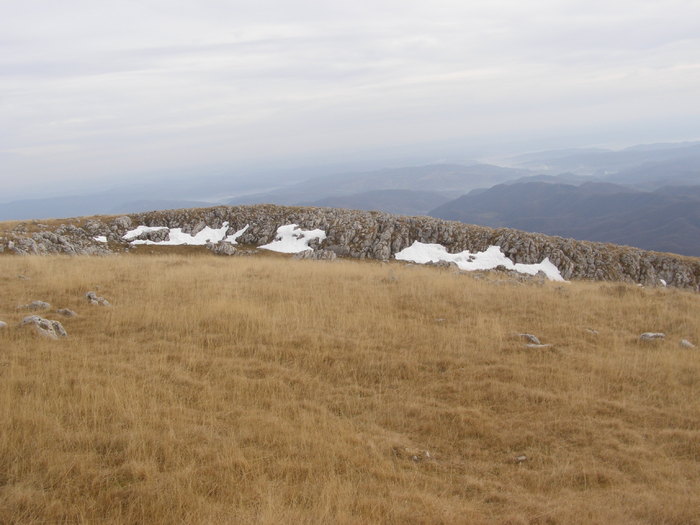 ZAPADA IN BUILA VINTURARITA