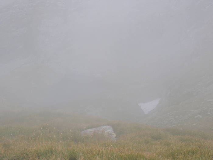 P8252367