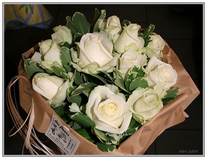albaroza - Trandafiri albi