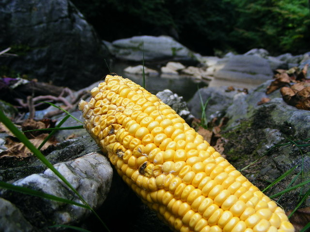DSCF5071