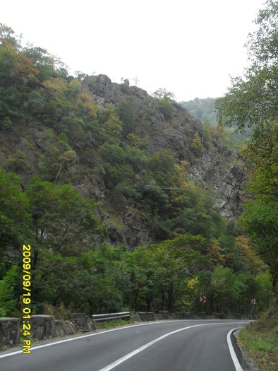 SDC10397 - valea jiului