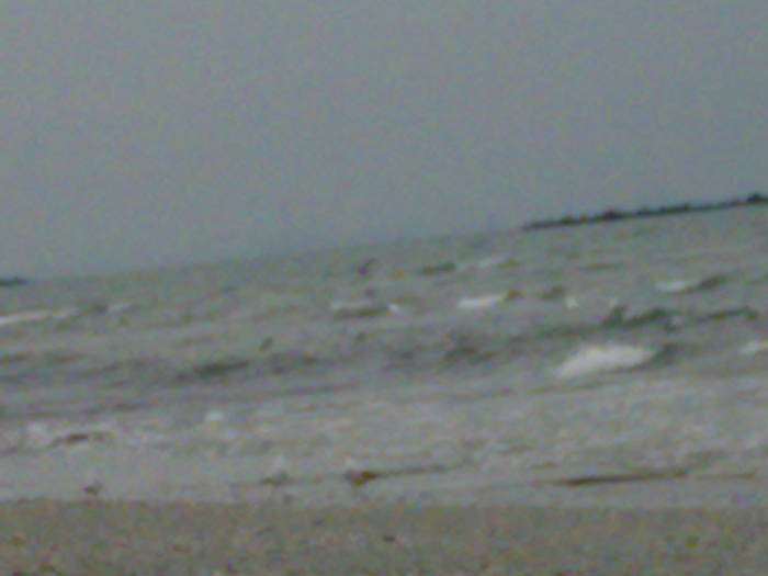 01022009137 - Mamaia iarna