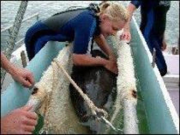 OXOBMJLMVUUIGDTVGAG - h2o just add water