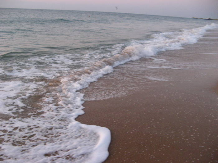 015 - rasarit 09 aug 2009