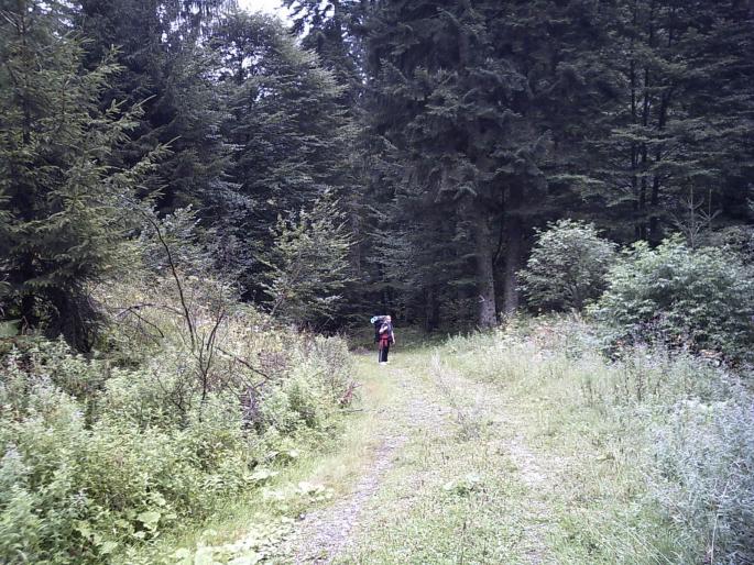 PICT0284