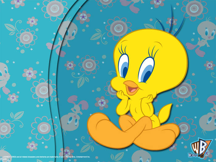 wallpapers_tweety_03_800; Tweety
