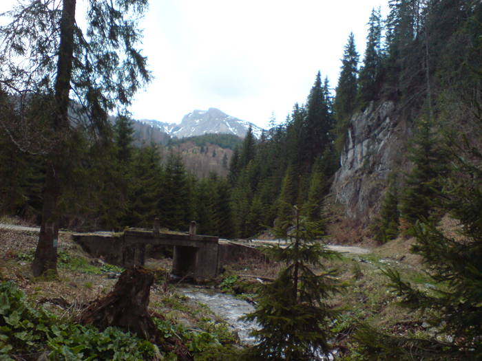 DSC01184
