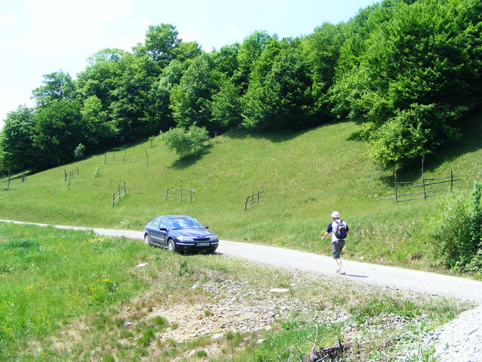 DSCF0988
