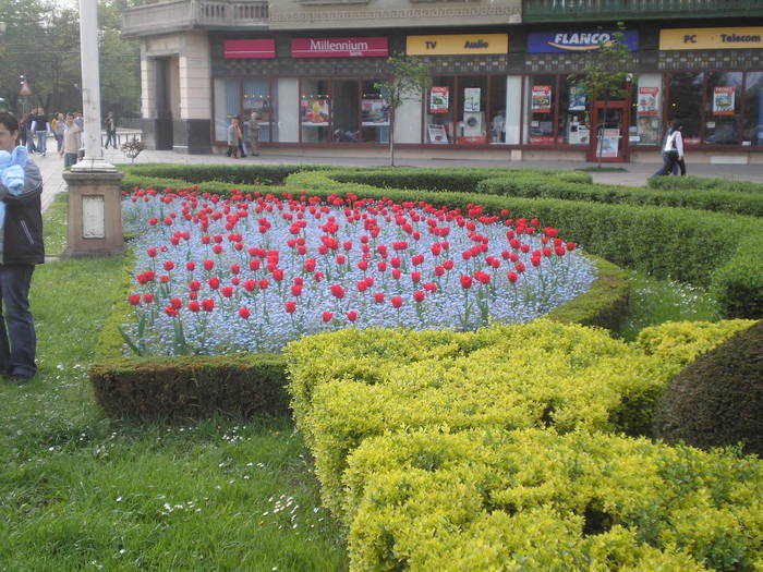 P4130251 - timisoara - centru