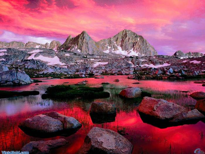 7859_digital_camera_quality - POZE DESKTOP