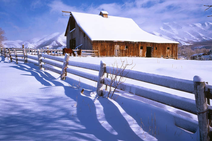 207-chalet-winter - Poze din natura