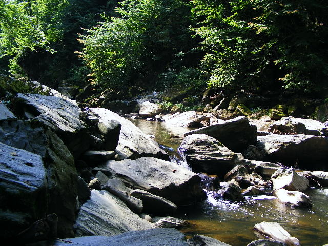 DSCF5222