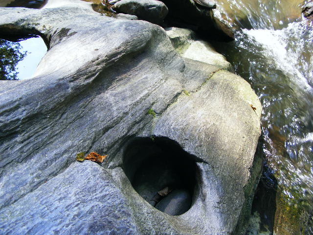 DSCF5233
