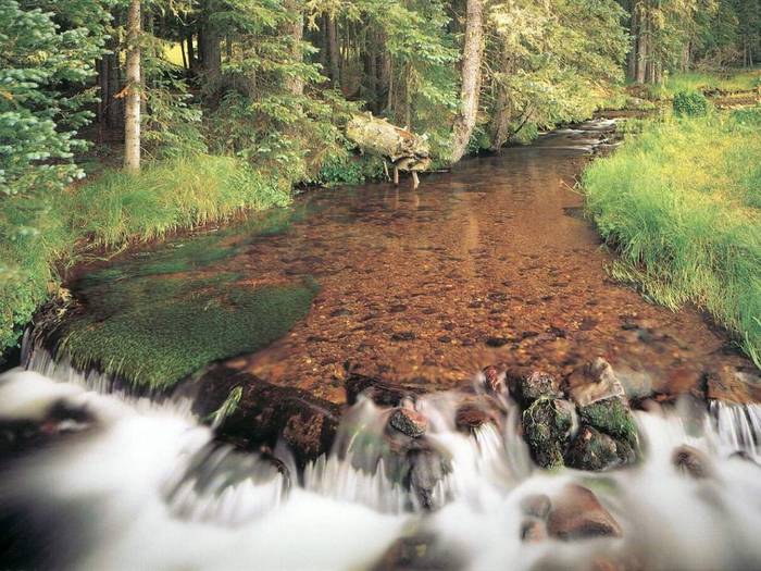 56_LittleColoradoRiverUSA_freeforestnature_computerdesktopwallpaper_x