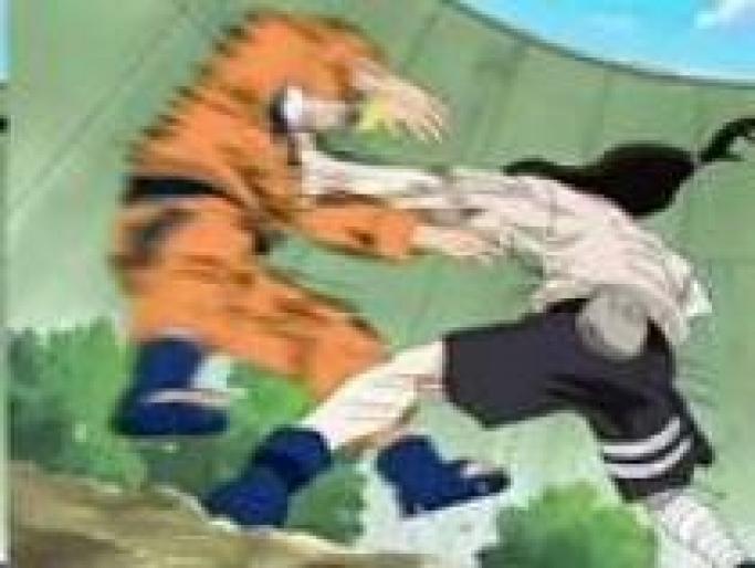 Naruto vs Neji - Poze cu toate personajele din Naruto