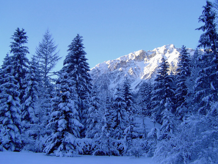 Christmas Wallpapers (326)