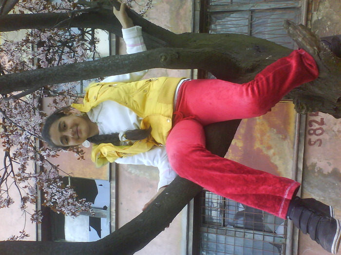 DSC01316