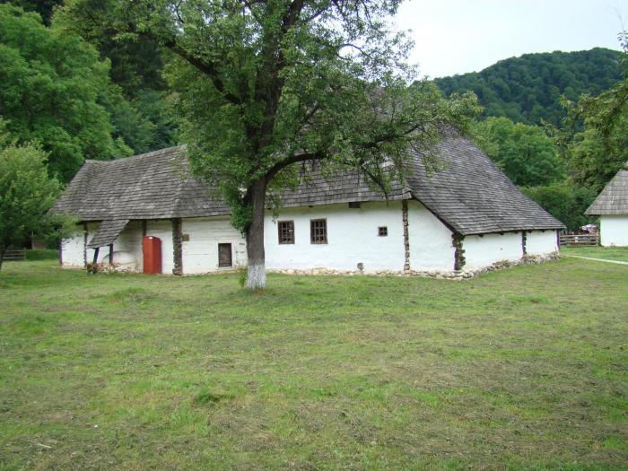 DSC02066 - Concediu 2008