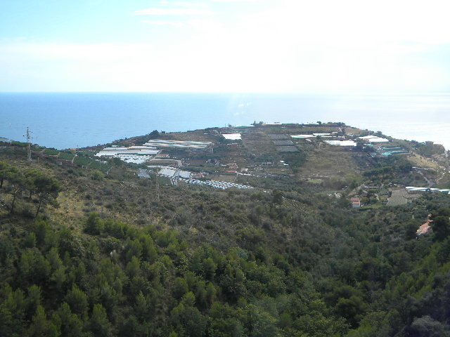 DSCN2514