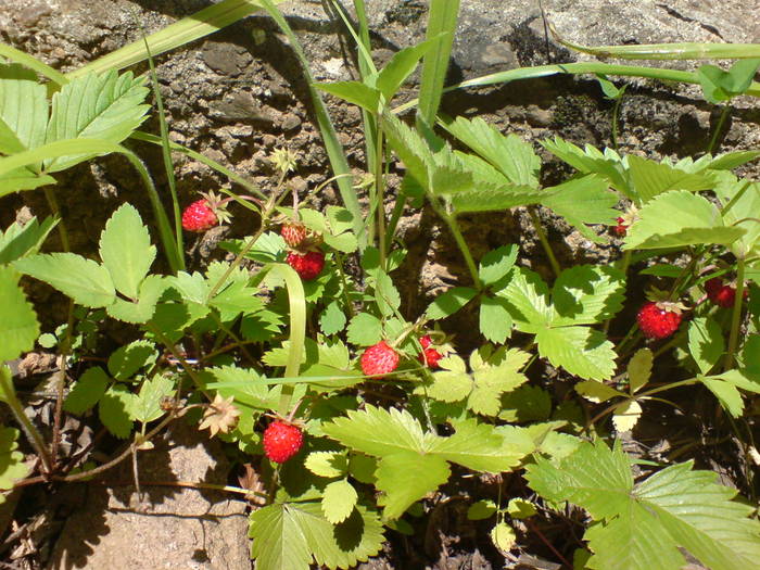 DSC01760