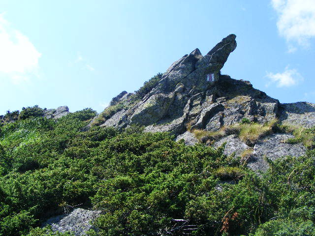 DSCF4398 - 2 august 2009 Traseu Suior Secatura Creasta Cocosului Gutaiul Doamnei  Vf Gutai