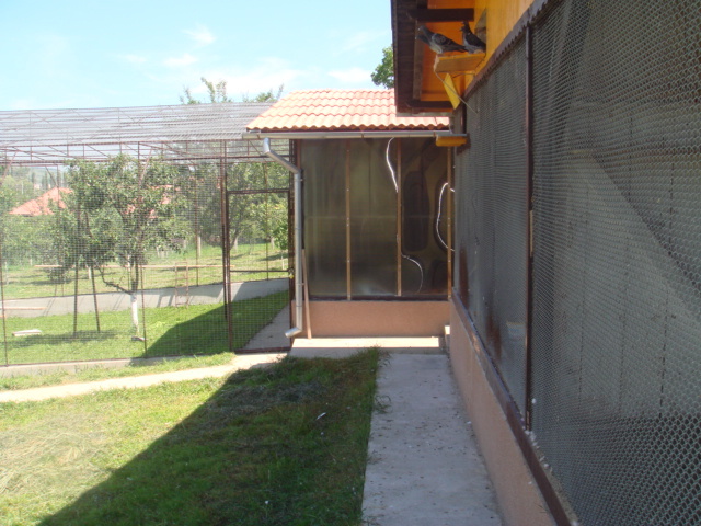 DSC00891