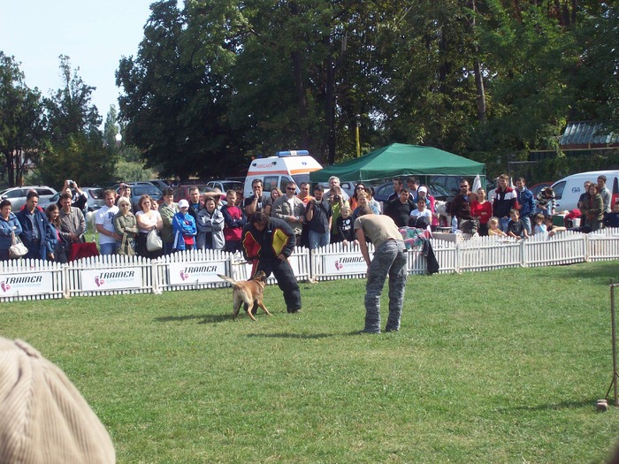 100_8583 - Expo CACIB-Bucuresti 19-20sept2009