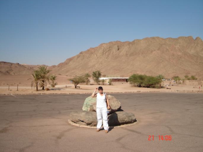 291 Israel - Timna Park - 2008 ISRAEL NOIEMBRIE