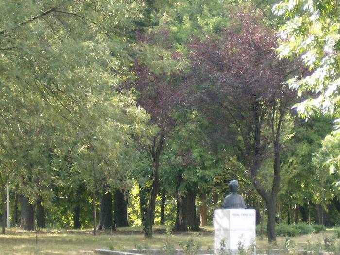  - Parcul Romanescu Craiova