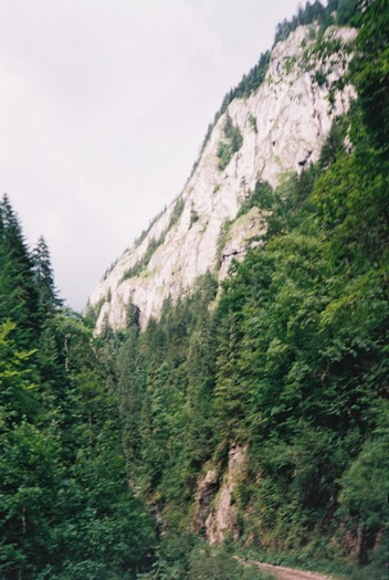 F1010018