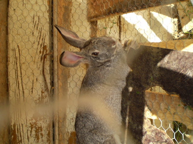 P1010020; stau intins k sunt obosit
