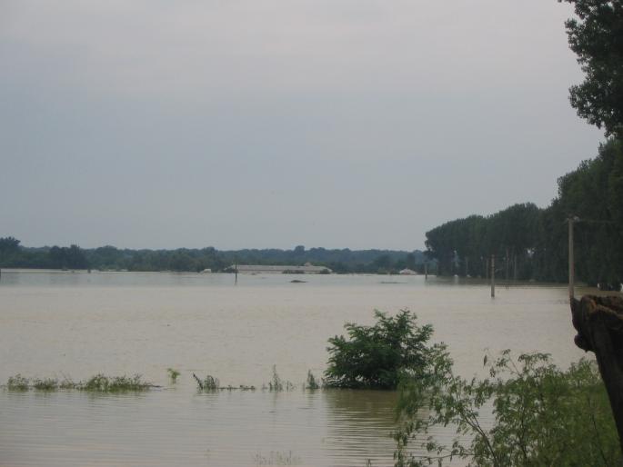 inundatii (64)