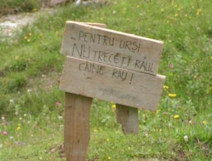 pentru_ursi
