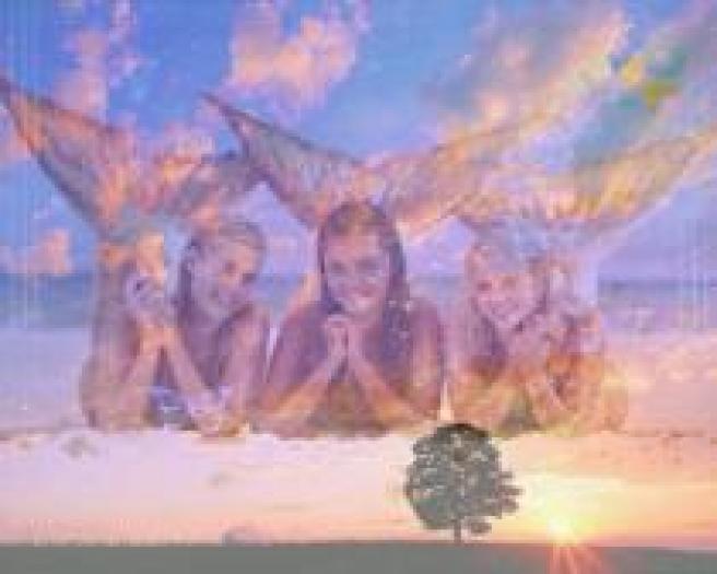 FVNAULSCRCSSGOULBTI - H2O