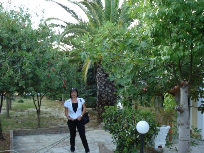 Tsilivi Hotel Mediteranee