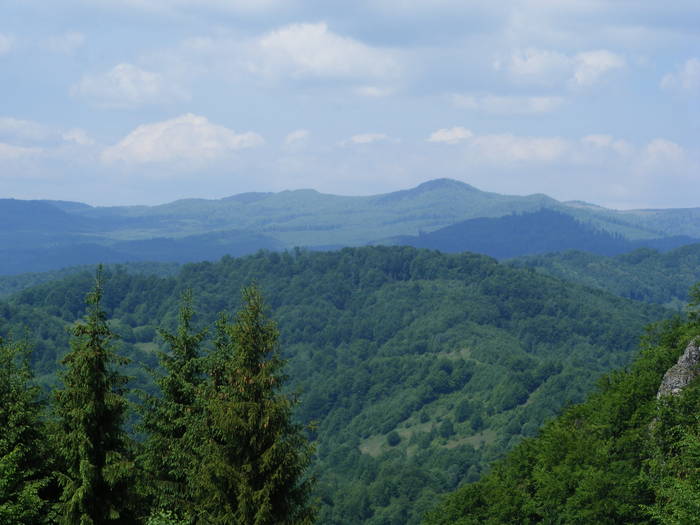 DSCF1067