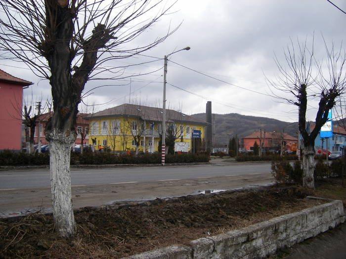 Copsa Mica -Primaria