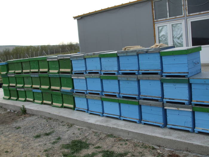 DSCF1286 - Atelierul