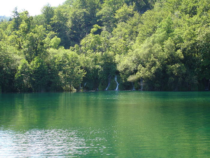 DSC03654 - Parcul Plitvice din Croatia