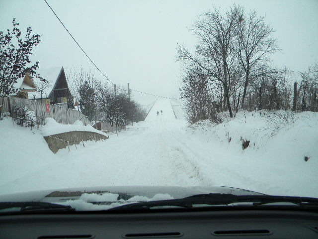 DSCN4009