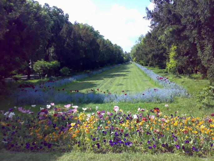 29042008630 - Parcul CISMIGIU