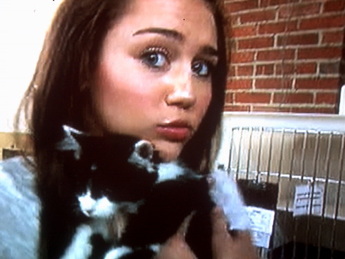 2jcu786 - Miley-Personal Picture