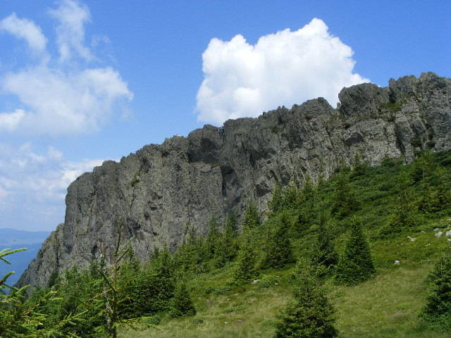DSCF3163